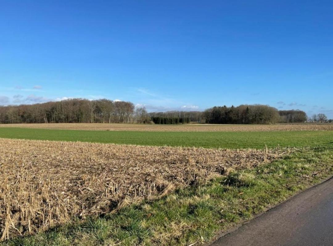 Het Damhert Kortenaken Exteriör bild